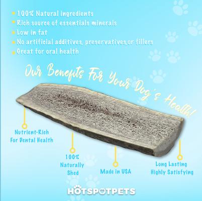 Show full view: HOTSPOT PETS 4 to 5-in Split Elk Antlers Dog Treats, Small, 2 count slide 5 of 10