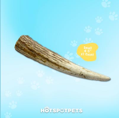 Show full view: HOTSPOT PETS 4 to 5-in Whole Elk Antlers Dog Treats, Small, 1 count slide 6 of 10