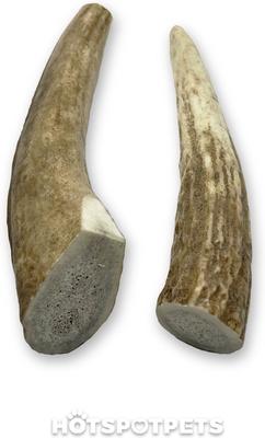 Show full view: HOTSPOT PETS 4 to 5-in Whole Elk Antlers Dog Treats, Small, 1 count slide 3 of 10