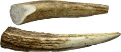 HOTSPOT PETS 4 to 5-in Whole Elk Antlers Dog Treats, Small, 2 count