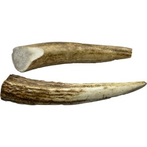 HOTSPOT PETS 4 to 5-in Whole Elk Antlers Dog Treats, Small, 2 count