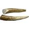 Show in main carousel: HOTSPOT PETS 4 to 5-in Whole Elk Antlers Dog Treats, Small, 2 count slide 1 of 10