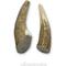 Show in main carousel: HOTSPOT PETS 4 to 5-in Whole Elk Antlers Dog Treats, Small, 2 count slide 3 of 10
