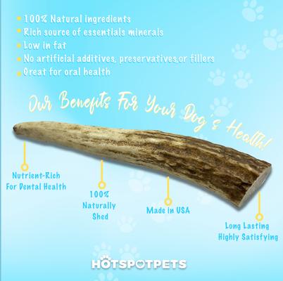 Show full view: HOTSPOT PETS 4 to 5-in Whole Elk Antlers Dog Treats, Small, 2 count slide 5 of 10