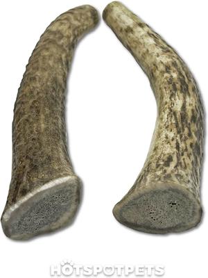 Show full view: HOTSPOT PETS 5 to 6-in Whole Elk Antlers Dog Treats, Medium, 1 count slide 3 of 11