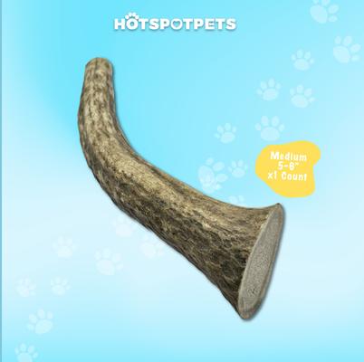 Show full view: HOTSPOT PETS 5 to 6-in Whole Elk Antlers Dog Treats, Medium, 1 count slide 6 of 11