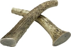 HOTSPOT PETS 5 to 6-in Whole Elk Antlers Dog Treats, Medium, 2 count