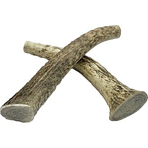 HOTSPOT PETS 5 to 6-in Whole Elk Antlers Dog Treats, Medium, 2 count