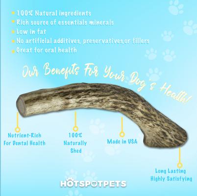 Show full view: HOTSPOT PETS 5 to 6-in Whole Elk Antlers Dog Treats, Medium, 2 count slide 5 of 11