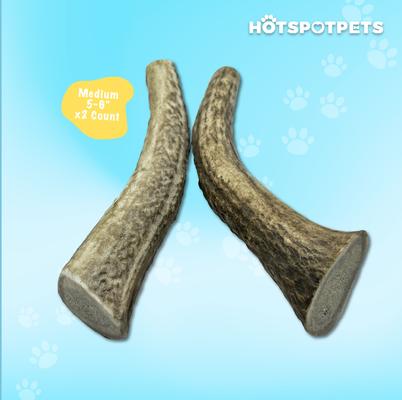 Show full view: HOTSPOT PETS 5 to 6-in Whole Elk Antlers Dog Treats, Medium, 2 count slide 6 of 11