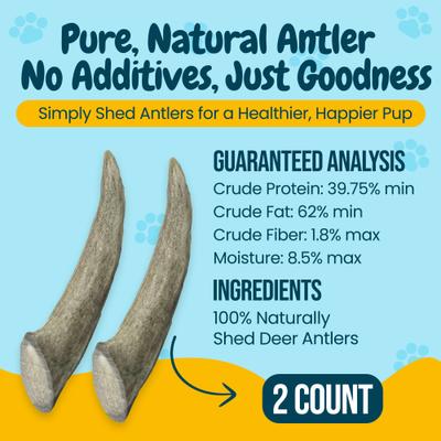 Show full view: HOTSPOT PETS 5 to 8-in Whole Deer Antler Dog Treats, Small, 2 count slide 5 of 11