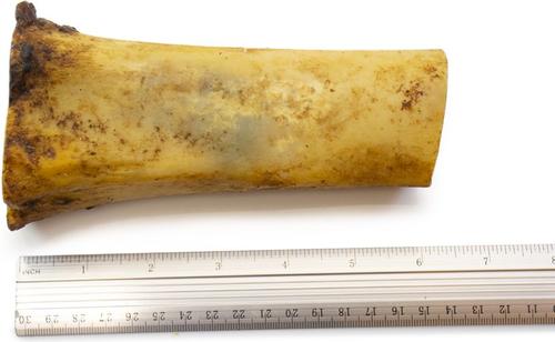 Show full view: HOTSPOT PETS 6 to 8-in Meaty Beef Center Cut Bone Dog Treats, Large, 1 count slide 4 of 9