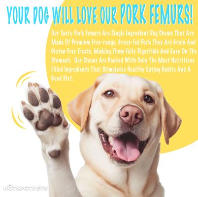 Show full view: HOTSPOT PETS 6 to 8-in Pork Femur Dog Chew Treats, Large, 6 count slide 7 of 11