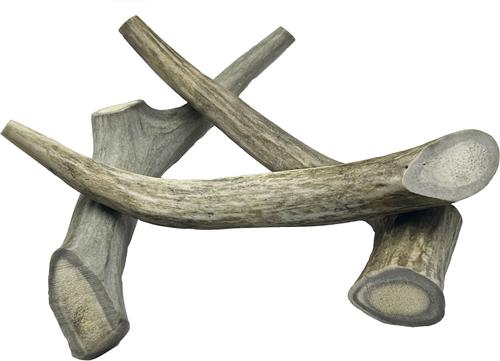 Show full view: HOTSPOT PETS 6 to 9-in Whole Deer Antler Dog Treats, Medium, 2 count slide 3 of 11