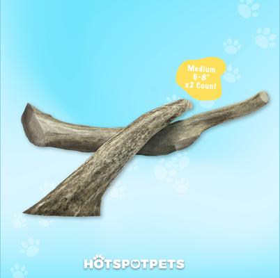 Show full view: HOTSPOT PETS 6 to 9-in Whole Deer Antler Dog Treats, Medium, 2 count slide 6 of 11