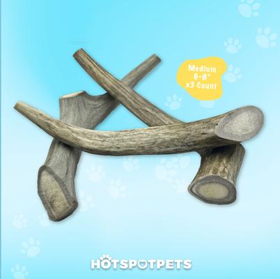 Show full view: HOTSPOT PETS 6 to 9-in Whole Deer Antler Dog Treats, Medium, 3 count slide 6 of 11