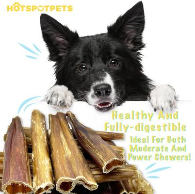 Show full view: HOTSPOT PETS 6-in Beef Bladder Stick Dog Treats, 12 count slide 7 of 10