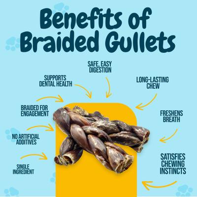 Show full view: HOTSPOT PETS 6-in Braided Beef Gullet Twist Dog Chew Treats, 12 count slide 6 of 10