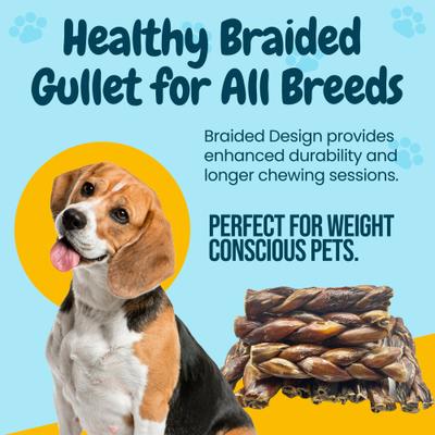 Show full view: HOTSPOT PETS 6-in Braided Beef Gullet Twist Dog Chew Treats, 3 count slide 7 of 10