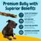 Show in main carousel: HOTSPOT PETS 6-in Braided Bully Sticks Dog Treats, 6 count slide 6 of 8
