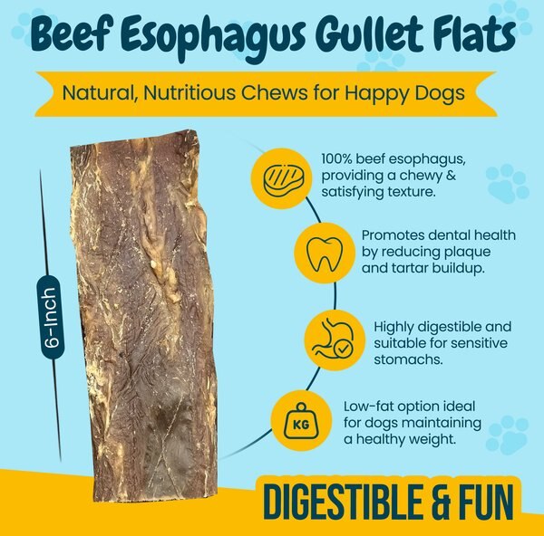 HOTSPOT PETS 6-in Flat Beef Gullet Dog Treats