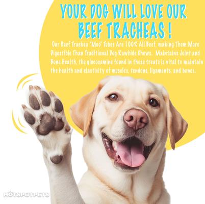 Show full view: HOTSPOT PETS 6-in Whole Beef Trachea Tubes Dog Chew Treats, 12 count slide 7 of 10