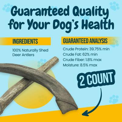 Show full view: HOTSPOT PETS 7 to 10-in Whole Deer Antler Dog Treats, Large, 2 count slide 5 of 11