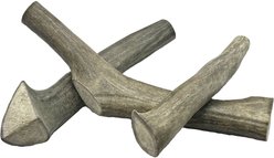 HOTSPOT PETS 7 to 10-in Whole Deer Antler Dog Treats, Large, 3 count slide 1 of 9