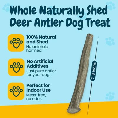 Show full view: HOTSPOT PETS 7 to 10-in Whole Deer Antler Dog Treats, Large, 3 count slide 4 of 11