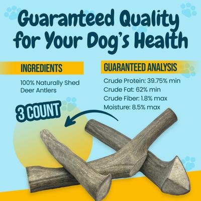 Show full view: HOTSPOT PETS 7 to 10-in Whole Deer Antler Dog Treats, Large, 3 count slide 5 of 11