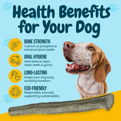 Show full view: HOTSPOT PETS 7 to 10-in Whole Deer Antler Dog Treats, Large, 3 count slide 6 of 11