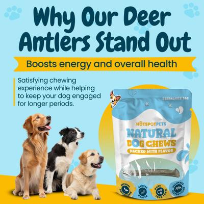 Show full view: HOTSPOT PETS 7 to 10-in Whole Deer Antler Dog Treats, Large, 3 count slide 7 of 11