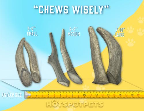 Show full view: HOTSPOT PETS 7 to 10-in Whole Deer Antler Dog Treats, Large, 3 count slide 9 of 11