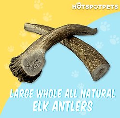 HOTSPOT PETS 7 to 8-in Whole Elk Antlers Dog Treats, Large, 1 count slide 2 of 9