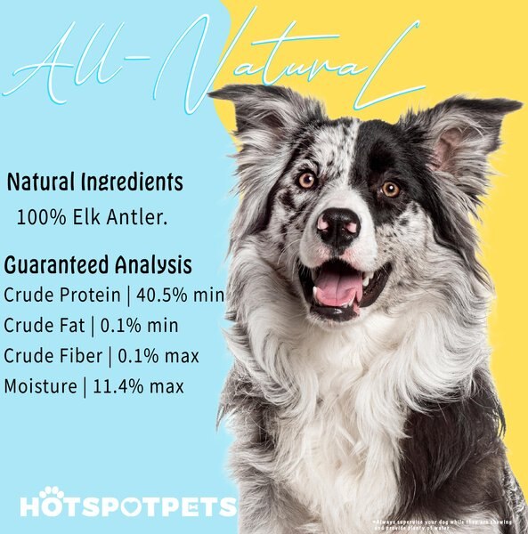 HOTSPOT PETS 7 to 8-in Whole Elk Antlers Dog Treats