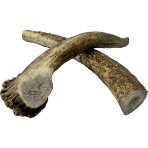HOTSPOT PETS 7 to 8-in Whole Elk Antlers Dog Treats, Large, 2 count