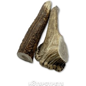 HOTSPOT PETS 7 to 8-in Whole Elk Antlers Dog Treats, Large, 2 count