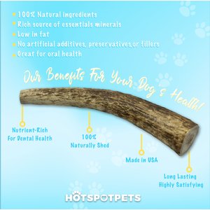HOTSPOT PETS 7 to 8-in Whole Elk Antlers Dog Treats, Large, 2 count