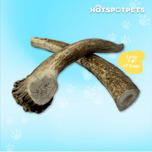 HOTSPOT PETS 7 to 8-in Whole Elk Antlers Dog Treats, Large, 2 count
