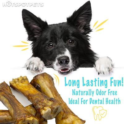 Show full view: HOTSPOT PETS 8 to 10-in Meaty Beef Shin Bone Dog Treats, Large, 1 count slide 7 of 11