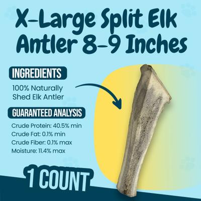 Show full view: HOTSPOT PETS 8 to 9-in Split Elk Antlers Dog Treats, X-Large, 1 count slide 5 of 8