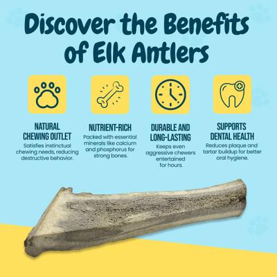 Show full view: HOTSPOT PETS 8 to 9-in Split Elk Antlers Dog Treats, X-Large, 1 count slide 6 of 8