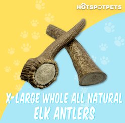 HOTSPOT PETS 8 to 9-in Whole Elk Antlers Dog Treats, X-Large, 1 count slide 2 of 9