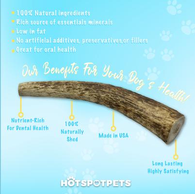 Show full view: HOTSPOT PETS 8 to 9-in Whole Elk Antlers Dog Treats, X-Large, 1 count slide 5 of 11