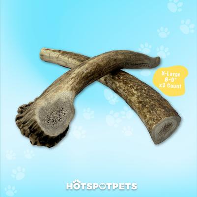 Show full view: HOTSPOT PETS 8 to 9-in Whole Elk Antlers Dog Treats, X-Large, 2 count slide 6 of 11