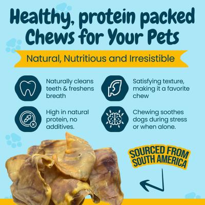 Show full view: HOTSPOT PETS Whole Pig Ears Dog Chew Treats, Large, 20 count slide 6 of 9