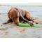 Show in main carousel: Hound2O Fetch Stick Dog Toy, Green slide 4 of 8