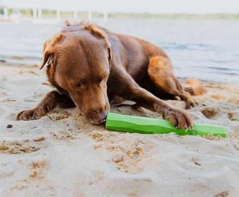 Show full view: Hound2O Fetch Stick Dog Toy, Green slide 4 of 8