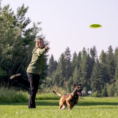 Show full view: Hound2O Reflective Flyer Dog Toy, Green slide 3 of 8