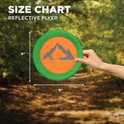 Hound2O Reflective Flyer Dog Toy, Orange slide 2 of 7